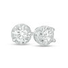 Thumbnail Image 0 of 0.145 CT. T.W. Diamond Solitaire Stud Earrings in 10K White Gold