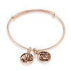 Thumbnail Image 0 of Chrysalis "Transformation" Charms Adjustable Bangle in Rose-Tone Brass