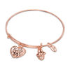 Thumbnail Image 0 of Chrysalis "Family" Charms Adjustable Bangle in Rose-Tone Brass