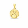 Thumbnail Image 1 of 10K Gold Framed Angel Charm