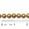 9.0-10.0mm Champagne Freshwater Cultured Pearl Strand in 14K Gold