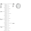Thumbnail Image 2 of 0.40 CT. T.W. Canadian Certified Diamond Solitaire Tension Stud Earrings in 14K White Gold (I/I2)