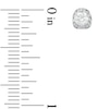 Thumbnail Image 2 of 0.50 CT. T.W. Certified Canadian Diamond Earrings in 14K White Gold