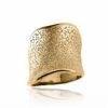 Thumbnail Image 0 of Charles Garnier Wavy Slant Ring in Sterling Silver with 18K Gold Plate