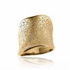 Thumbnail Image 1 of Charles Garnier Wavy Slant Ring in Sterling Silver with 18K Gold Plate