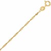 025 Gauge Singapore Chain Necklace in 10K Gold - 16"