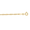 Thumbnail Image 0 of 030 Gauge Singapore Chain Necklace in 10K Gold - 22"