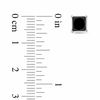 Thumbnail Image 2 of 2.00 CT. T.W. Princess-Cut Black Diamond Solitaire Stud Earrings in 10K White Gold