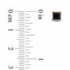 Thumbnail Image 2 of 1.00 CT. T.W. Princess-Cut Black Diamond Stud Earrings in 10K Gold