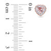 Thumbnail Image 2 of 5.0mm Heart-Shaped Morganite and 0.09 CT. T.W. Diamond Frame Stud Earrings in 10K Rose Gold