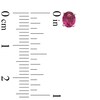 Thumbnail Image 2 of Oval Pink Tourmaline Stud Earrings in 10K Rose Gold