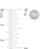 Thumbnail Image 2 of 0.50 CT. T.W. Canadian Certified Diamond Starburst Earrings in 14K White Gold (I/I2)