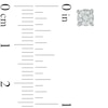 Thumbnail Image 2 of 0.09 CT. T.W. Composite Diamond Stud Earrings in Sterling Silver