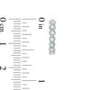 Thumbnail Image 2 of 0.23 CT. T.W. Diamond Twist Hoop Earrings in 10K White Gold