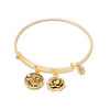 Thumbnail Image 1 of Chrysalis "MOM" Charms Adjustable Bangle in Yellow-Tone Brass