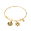Thumbnail Image 1 of Chrysalis "Daughter" Charms Adjustable Bangle in Yellow-Tone Brass