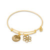 Thumbnail Image 1 of Chrysalis "Sister" Charms Adjustable Bangle in Yellow-Tone Brass