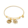 Thumbnail Image 0 of Chrysalis "Sister" Charms Adjustable Bangle in Yellow-Tone Brass