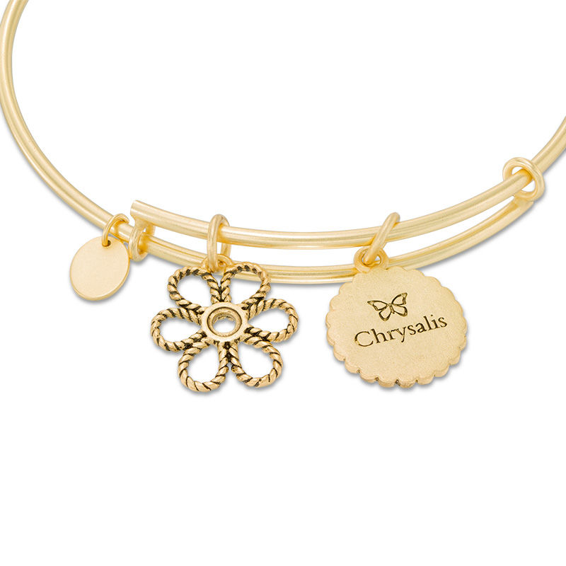 Main Image 2 of Chrysalis "Sister" Charms Adjustable Bangle in Yellow-Tone Brass
