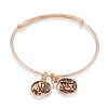 Thumbnail Image 1 of Chrysalis "Transformation" Charms Adjustable Bangle in Rose-Tone Brass
