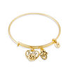 Thumbnail Image 1 of Chrysalis "Family" Charms Adjustable Bangle in Yellow-Tone Brass