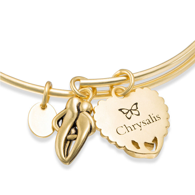 Main Image 2 of Chrysalis "Family" Charms Adjustable Bangle in Yellow-Tone Brass