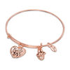 Thumbnail Image 1 of Chrysalis "Family" Charms Adjustable Bangle in Rose-Tone Brass