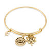 Thumbnail Image 1 of Chrysalis Cubic Zirconia "Good Luck" Charms Adjustable Bangle in Yellow-Tone Brass