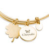 Thumbnail Image 2 of Chrysalis Cubic Zirconia "Good Luck" Charms Adjustable Bangle in Yellow-Tone Brass