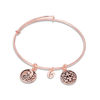 Thumbnail Image 1 of Chrysalis "Femininity" Charms Adjustable Bangle in Rose-Tone Brass