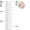 Thumbnail Image 2 of 0.13 CT. T.W. Diamond Love Knot Stud Earrings in 10K Rose Gold