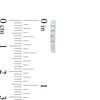 Thumbnail Image 2 of 0.13 CT. T.W. Diamond Three Stone Huggie Hoop Earrings in 10K White Gold