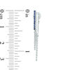 Thumbnail Image 3 of Lab-Created Blue Sapphire Double Bar and Chain Front/Back Earrings in Sterling Silver