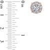 Thumbnail Image 2 of 1.20 CT. T.W. Diamond Frame Stud Earrings in 10K Rose Gold
