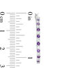 Thumbnail Image 2 of Amethyst and Lab-Created White Sapphire Alternating Small Hoop Earrings in Sterling Silver