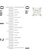 Thumbnail Image 2 of 5.0mm Princess-Cut Cubic Zirconia Solitaire Stud Earrings in 14K Gold