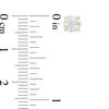 Thumbnail Image 2 of 1.00 CT. T.W. Certified Diamond Solitaire Stud Earrings in 14K Gold (J/I3)