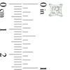 Thumbnail Image 2 of 0.30 CT. T.W. Princess-Cut Diamond Solitaire Stud Earrings in 14K White Gold