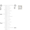 Thumbnail Image 2 of 0.085 CT. T.W. Diamond Solitaire Stud Earrings in 10K Gold