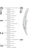 Thumbnail Image 2 of Lab-Created White Sapphire Pointed Double Row Curve Crawler Earrings in Sterling Silver