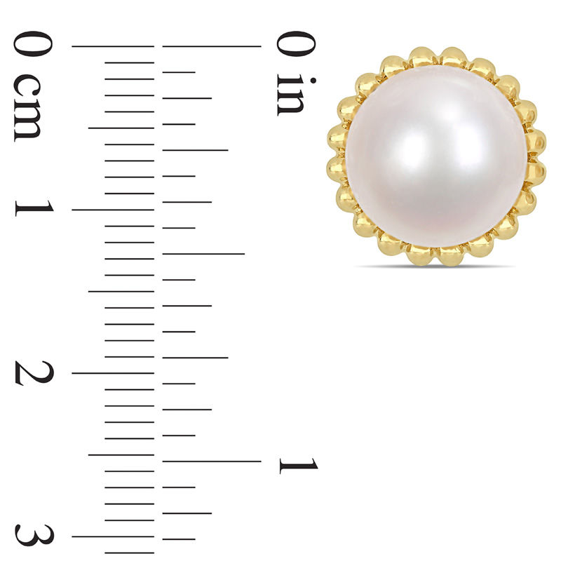 10.5 - 11.0mm Button Cultured Freshwater Pearl Bead Frame Stud Earrings in 10K Gold