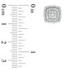 0.37 CT. T.W. Composite Diamond Double Cushion Frame Stud Earrings in 10K Rose Gold