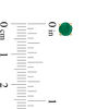 Thumbnail Image 3 of 4.0mm Emerald Solitaire Stud Earrings in 14K Gold