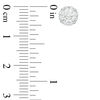 Thumbnail Image 2 of 1.00 CT. T.W. Certified Canadian Diamond Frame Stud Earrings in 14K White Gold (I/I2)