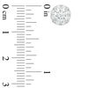 Thumbnail Image 2 of 2.00 CT. T.W. Certified Canadian Diamond Frame Stud Earrings in 14K White Gold (I/I2)