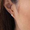 Thumbnail Image 2 of 4.5 - 5.0mm Cultured Freshwater Pearl, Ball Stud and Scallop Hoop Earrings Set in 14K Gold