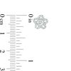 Thumbnail Image 3 of 0.40 CT. T.W. Diamond Flower Stud Earrings in 10K White Gold