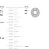 Thumbnail Image 3 of 0.05 CT. T.W. Diamond XO Mismatch Stud Earrings in Sterling Silver