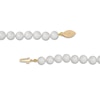 Thumbnail Image 2 of 6.0 - 6.5mm Cultured Akoya Pearl Strand Necklace with 14K Gold Clasp