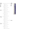 Blue Sapphire and 0.10 CT. T.W. Diamond Double Row Hoop Earrings in 10K Gold